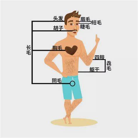 下巴突然長一根很長的毛|為啥身上會長出一兩根特別長的毛毛？是長壽聰明招財。